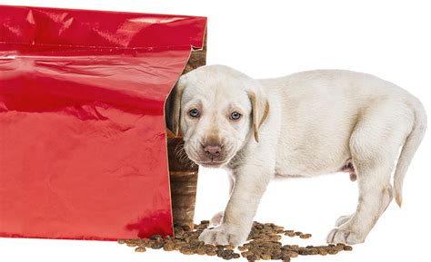 Top Packaging Considerations For Premium Pet Food Brands 2021 03 15