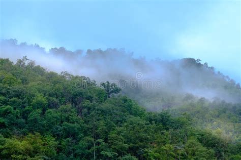 Mountain Forest With Fog And Rain In Erawan National Park Kanchanaburi