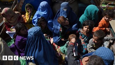 Viewpoint Why Afghan Refugees Are Facing A Humanitarian Catastrophe