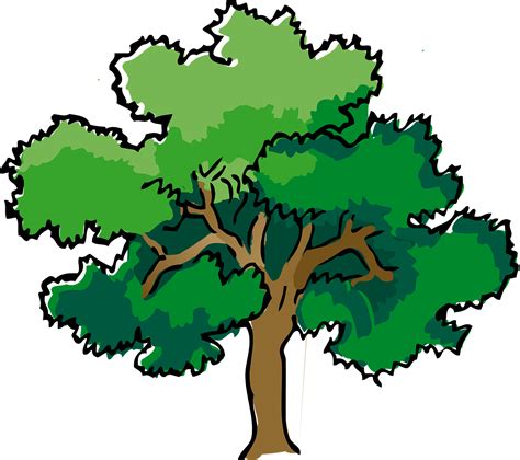 How To Draw Tree Pics How To Draw In Minute