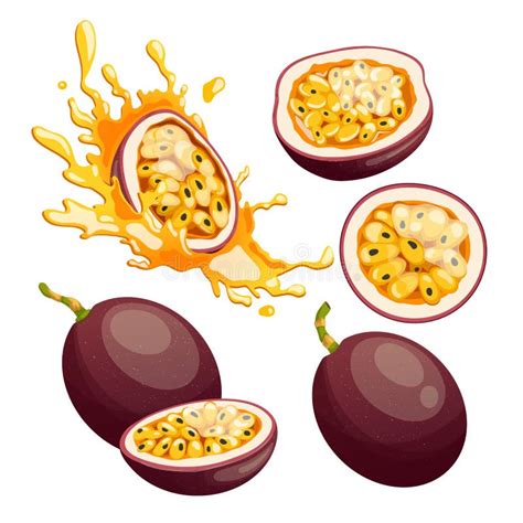 Passion Fruit Fresh Food Set Cartoon Vector Illustration Stock Vector Illustration Of