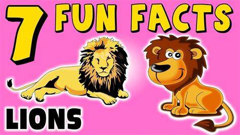 7 Fun Facts About Lions Lion Facts For Kids Roar Africa Cats