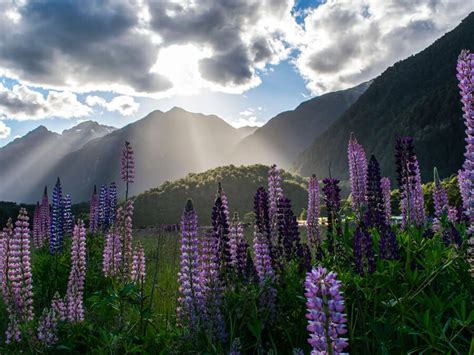Best Time to Visit New Zealand: For Outdoor Activities, Sightseeing & More