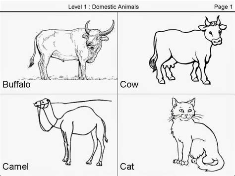 Colour Sheets Domestic Animals Animal Coloring Pages Animals