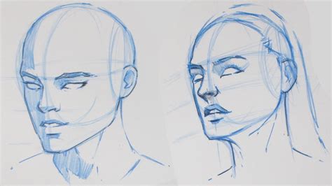 How To Draw The Human Head View Tutorial YouTube