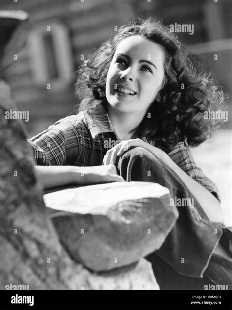 Courage Of Lassie Elizabeth Taylor 1946 Stock Photo Alamy