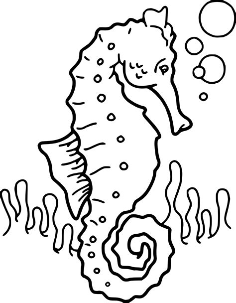 Coloriage Hippocampe Cheval De Mer à Imprimer Et Colorier