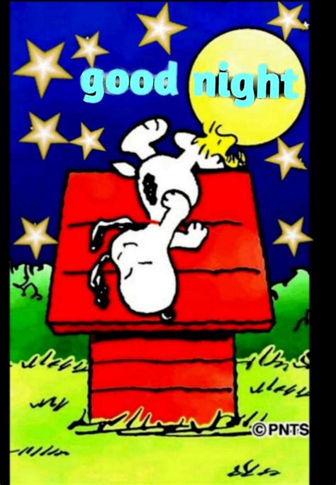 スヌーピーgood Night Goodnight Snoopy Snoopy Good Night Snoopy And Friends