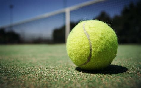 Download Tennis Ball Desktop Wallpaper 48957 1920x1200 Px High