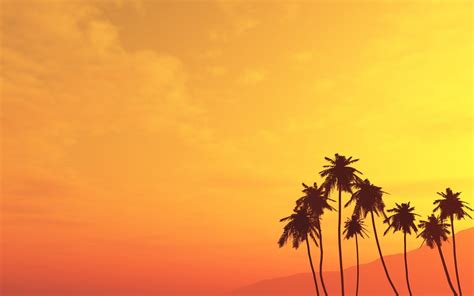 Silhouette Of Palm Trees Under Sunset Hd Wallpaper Wallpaper Flare