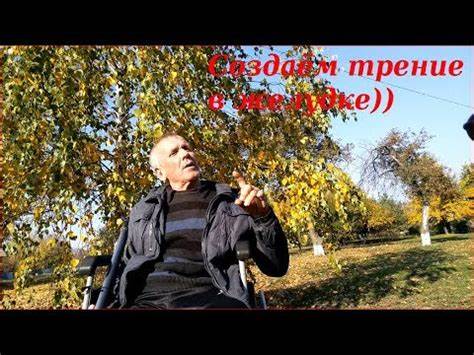 Выводим шлаки диетой