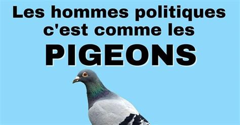 Les Hommes Politiques C Est Comme Les Pigeons Blagues Et Les