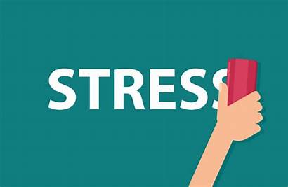 Stress Reduce Ways Simple