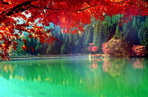 Autumn Lake In Japan Fall Stunning Lakes Japan Autumn Colors