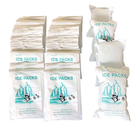 Buy World Bio Dry Ice Packs Small Freezer Packs For Shipping Frozen