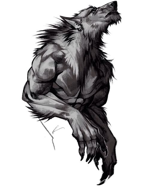 Новости In 2020 Werewolf Aesthetic Werewolf Art Wolf Character