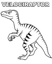Velociraptor Kolorowanka Do Wydruku Dinozaur L Kolorowanki Do Druku E