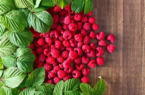 Raspberry Wallpapers Top Free Raspberry Backgrounds Wallpaperaccess
