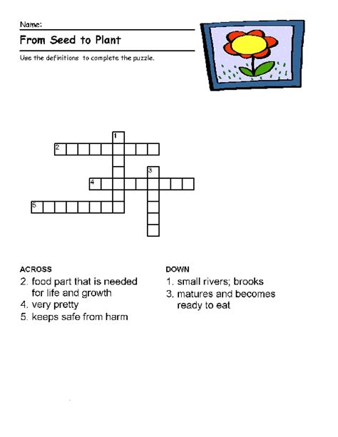 From Seed To Plant Crossword Puzzle Worksheet For 2nd 3rd Grade