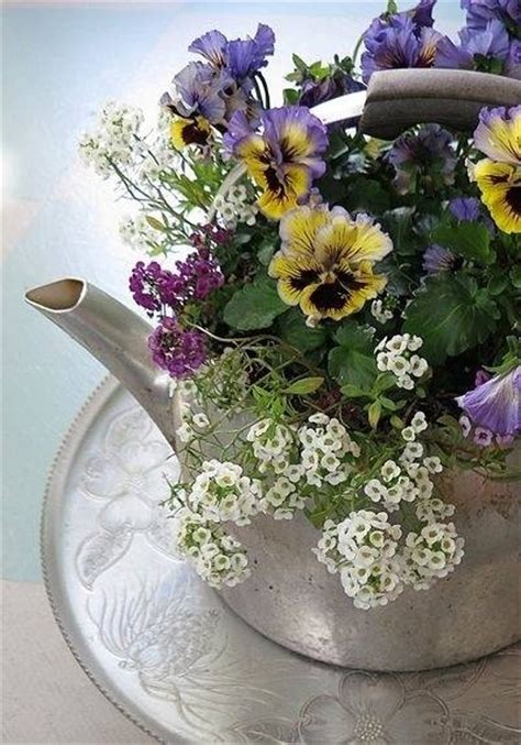 Teapot Filled With Spring Flowers Pictures Photos And Images For
