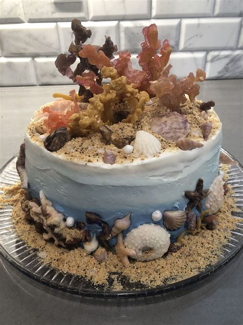A paragraph is a group of at least five sentences, a paragraph is half a page long, etc. Pin by Jackie Howe on Seashell cake | Seashell cake ...