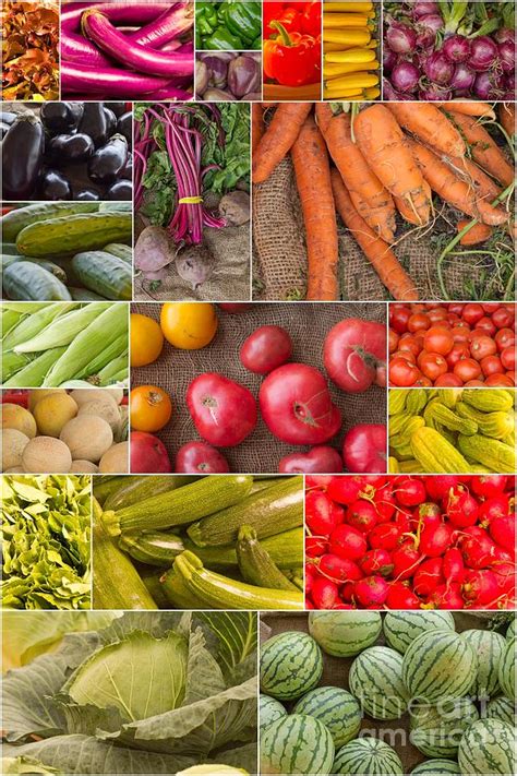 Fruit And Vegetable Collage Photograph By Ezume Images Pixels