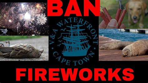 Petition · Ban Firework Displays At The Vanda Waterfront To Protect