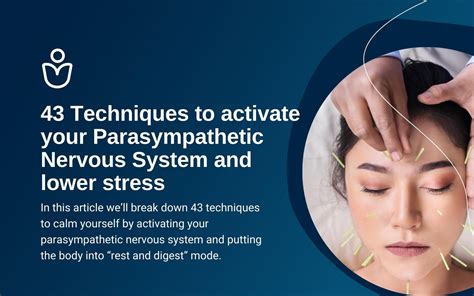Techniques To Activate Your Parasympathetic Nervous System And Lower