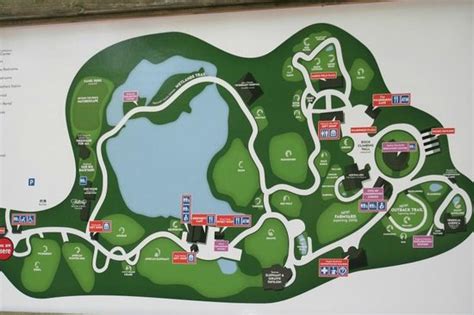 Zoo Map Picture Of Roger Williams Park Zoo Providence Tripadvisor
