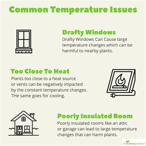 Guide To Temperature For Indoor Plants The Indoor Gardens