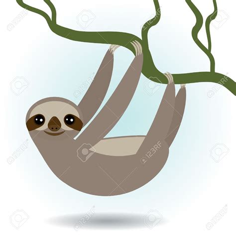 Download Three Toed Sloth Clipart For Free Designlooter 2020 👨‍🎨