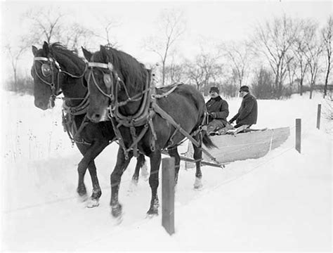 Horse Drawn Snow Plow In Chicago 1903