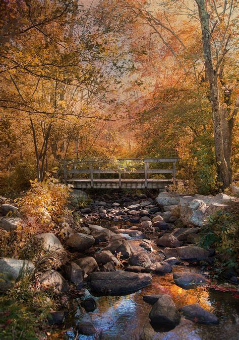 Autumn Over The Bridge Photograph By Robin Lee Vieira Fine Art America
