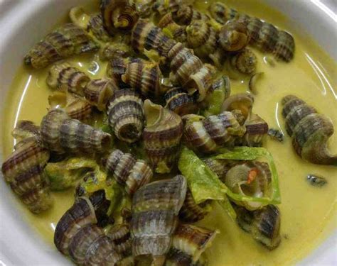 Resepi 1 kilo siput lemak cili padi. Resipi Masak Lemak Siput Sedut Dengan Daun Kaduk - Geng Wokyoh