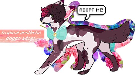 Tropical Aesthetic Doggo Closed By Qlorious Adopts On Deviantart