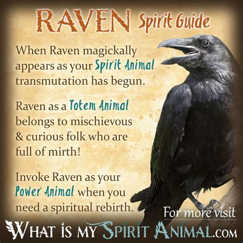 A Raven Sitting On Top Of A Tree Branch With The Words Raven Spirit