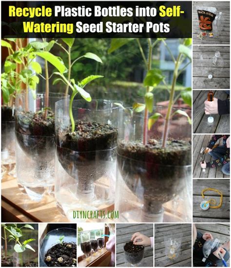 Recycle Plastic Bottles Into Self Watering Seed Starter Pots Diy