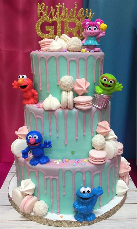 Girly Sesame Street Birthday Cake Sesame Street Birthday Cakes Cool