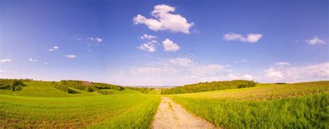Sunny Summer Day Country Road Green Meadows And Blue Sky Stock Image