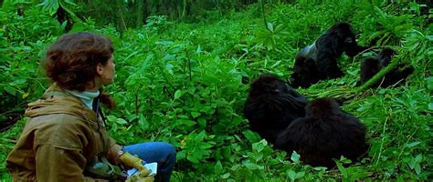 En 1983 publicó gorilas en la niebla, libro que expone sus observaciones y su relación con los gorilas en todos sus años de estudios de campo. Gorilas en la Niebla: la vida de Dian Fossey en Ruanda ...