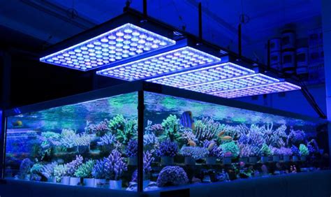 7 Best 36 Inch Led Lights For 30 50 Gallon Fish Tankaquarium