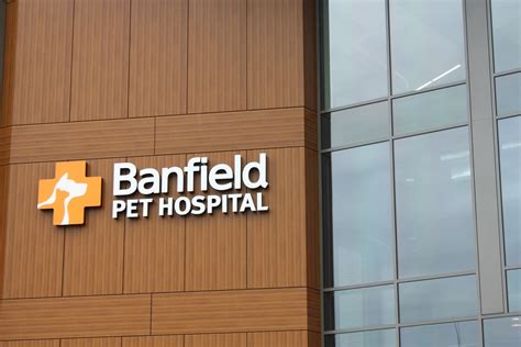 Banfield’s Vancouver Headquarters Earns Leed Platinum Certification Vancouver Business Journal