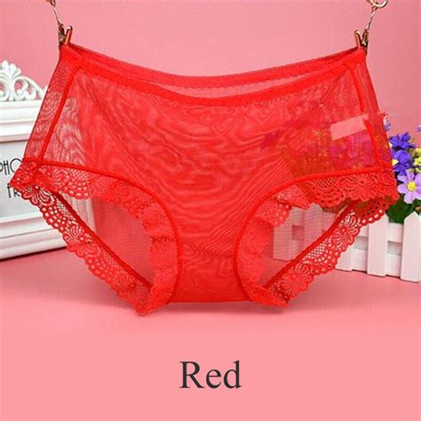 Womens Sheer Panties See Through Lace Mesh Knickers Underwear Briefs Lingerie Ebay