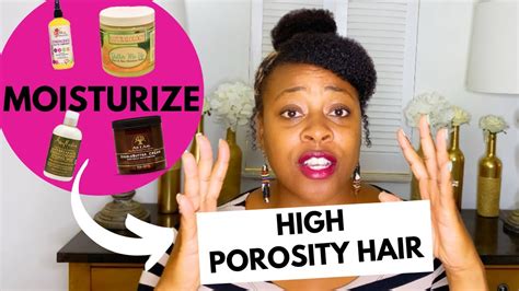High Porosity Hair Care Products How To Moisturize Dry High Porosity