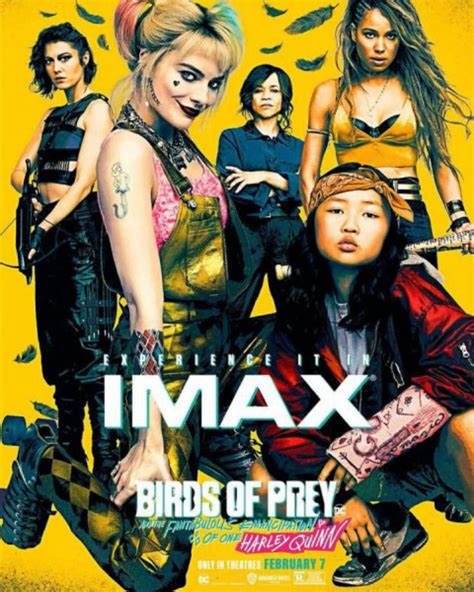The most anticipated movies of 2020. New Birds of Prey IMAX Poster Puts Its Leading Ladies ...
