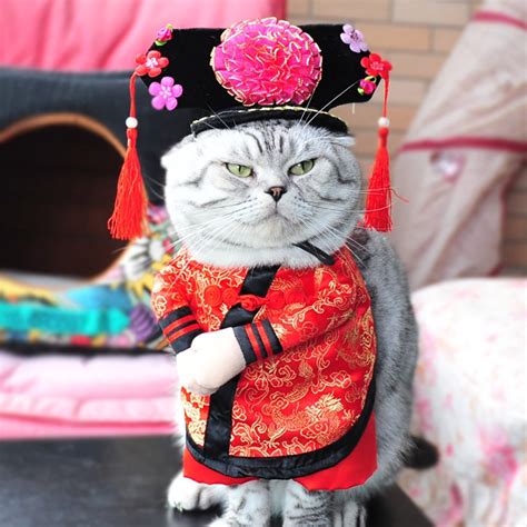 Pet Chinese Princess Cosplay Costume For Cats And Dogs
