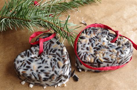 Diy Fabriquer Des Boules De Graisse Pour Les Oiseaux Du Jardin Blog