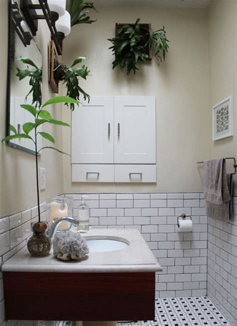 Plants In The Bathroom The Cheapest Way To Decorate
