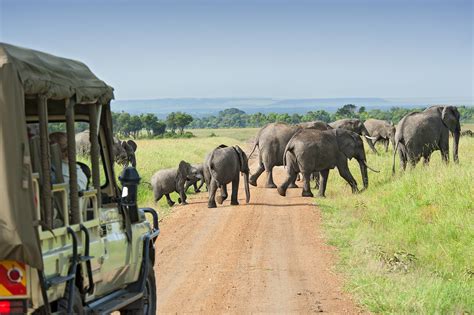 Safari In Africa The Most Beautiful National Parks And Nature Reserves To View Wildlife