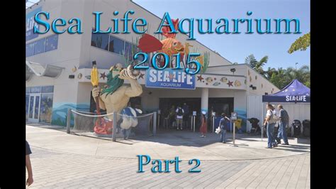 Sea Life Aquarium Legoland California 2015 Part 2 Youtube